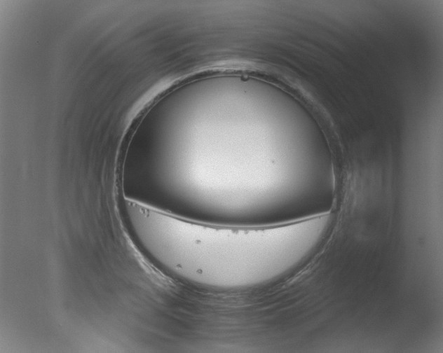 X0000078001229200610271004