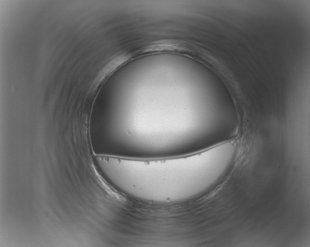 X0000078001233200610271004