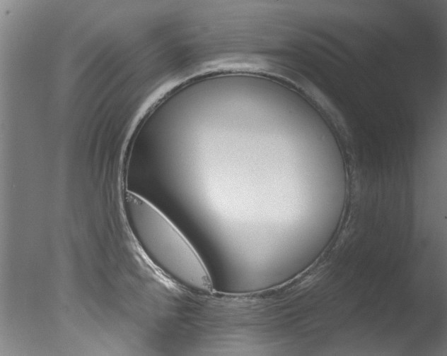X0000078001240200610271004