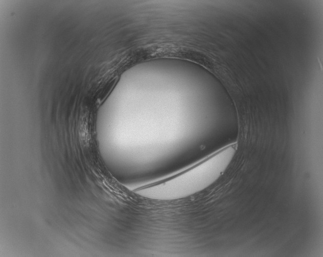 X0000078001250200610271004