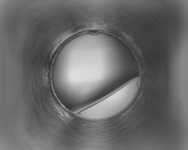 X0000078001260200610271003