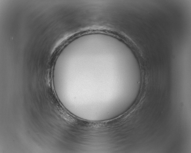 X0000078001262200610271003