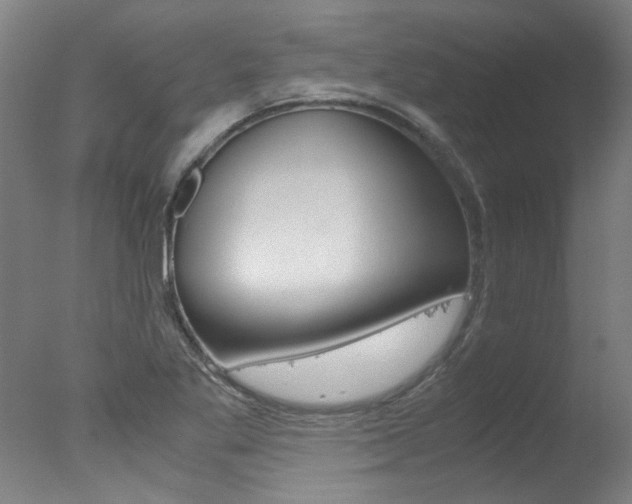 X0000078001269200610271003