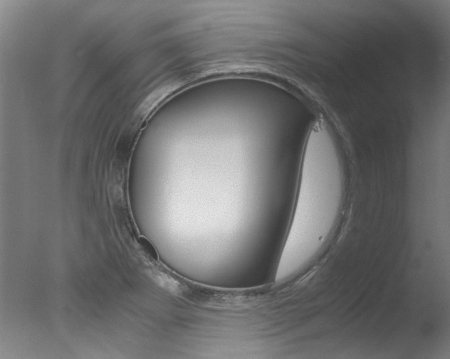 X0000078001273200610271003