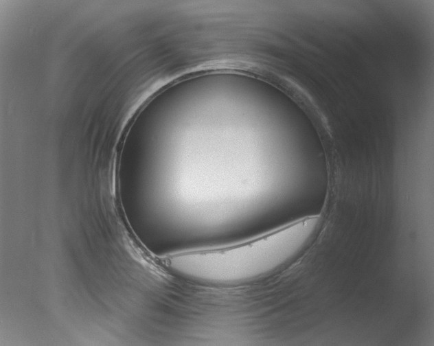 X0000078001276200610271003