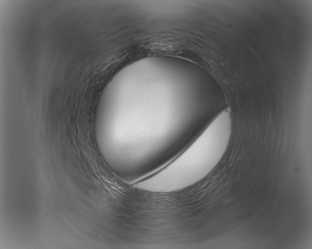 X0000078001297200610271002