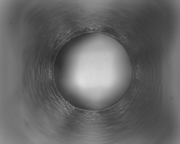 X0000078001298200610271002