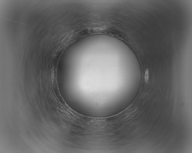 X0000078001299200610271002