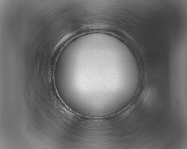 X0000078001306200610271002