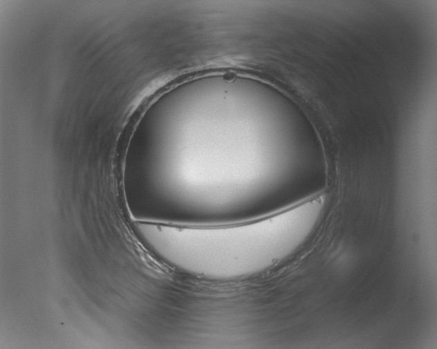 X0000078001308200610271002