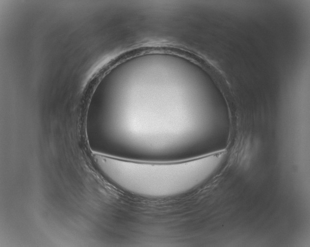 X0000078001311200610271002