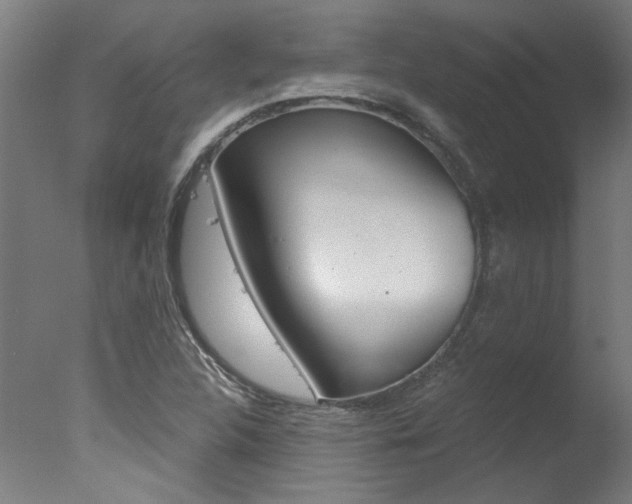 X0000078001312200610271002