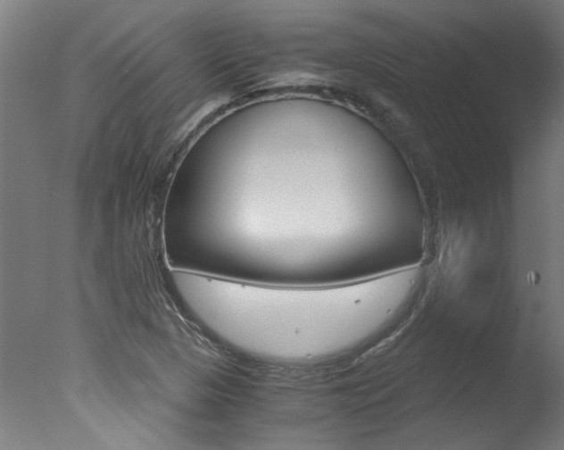 X0000078001313200610271002
