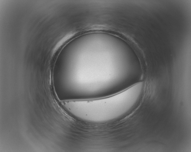 X0000078001317200610271002