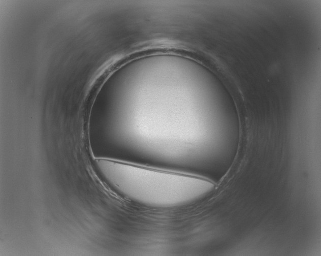 X0000078001318200610271002