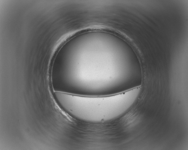 X0000078001327200610271002