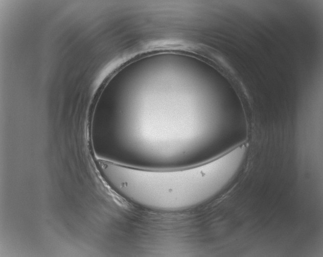 X0000078001328200610271002