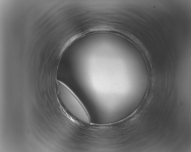 X0000078001337200610271003