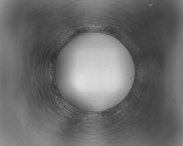 X0000078001346200610271002