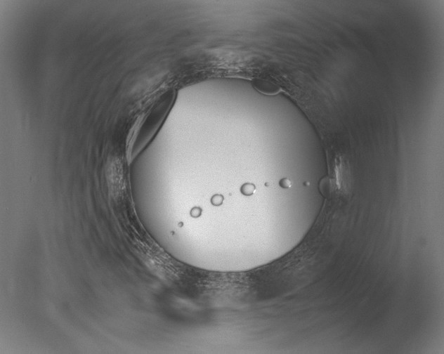 X0000078001347200610271002