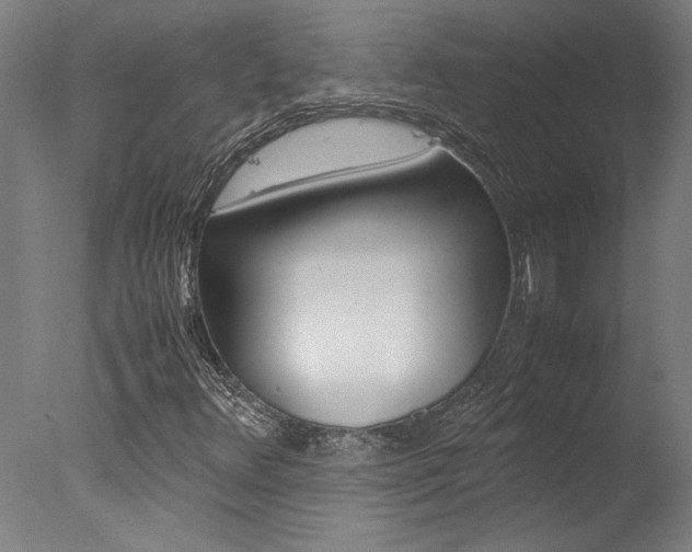 X0000078001348200610271002