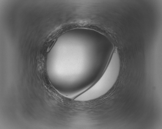X0000078001349200610271002