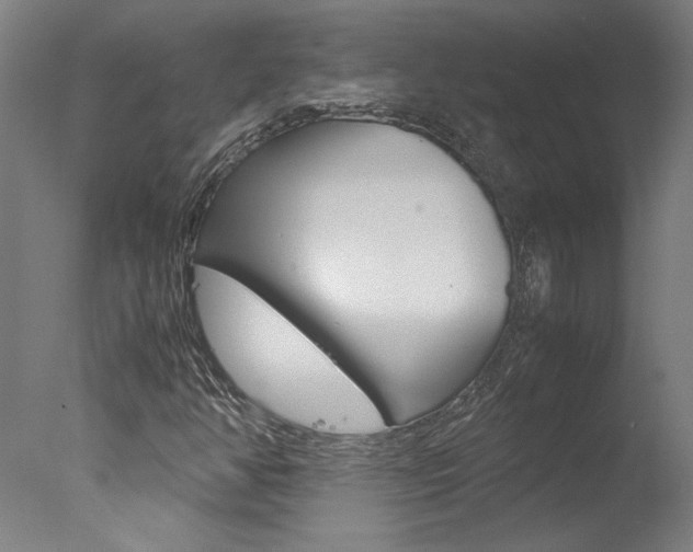 X0000078001350200610271002