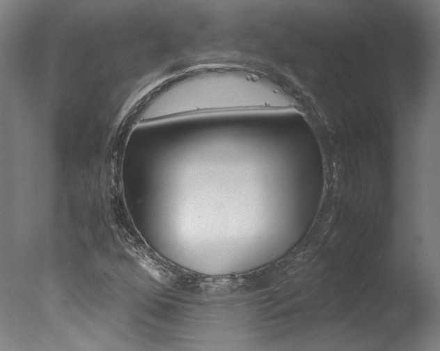 X0000078001352200610271002