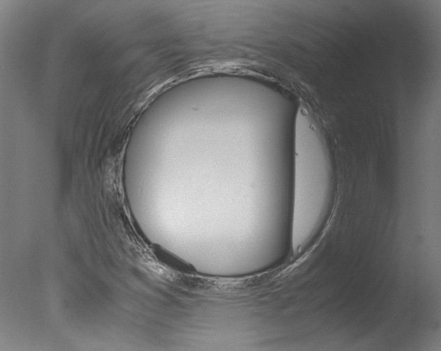 X0000078001353200610271002