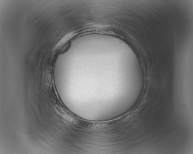 X0000078001354200610271002