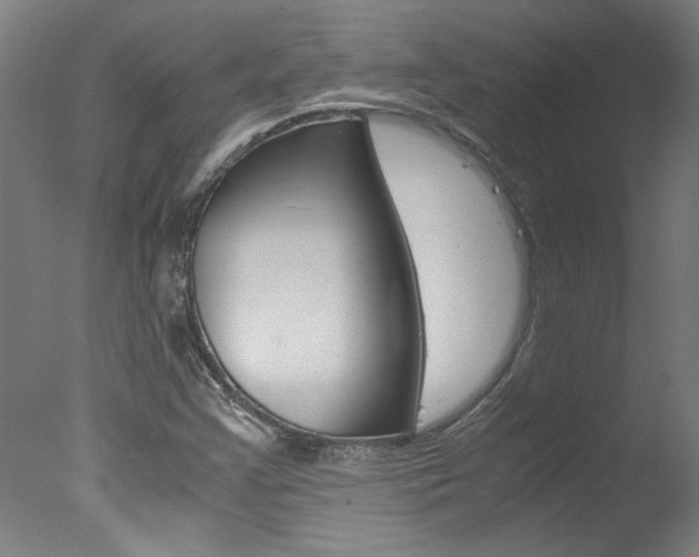 X0000078001355200610271002