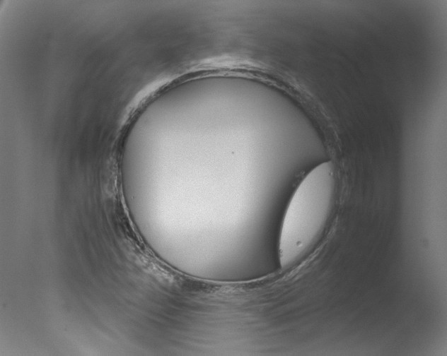 X0000078001358200610271002