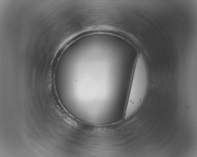 X0000078001364200610271002