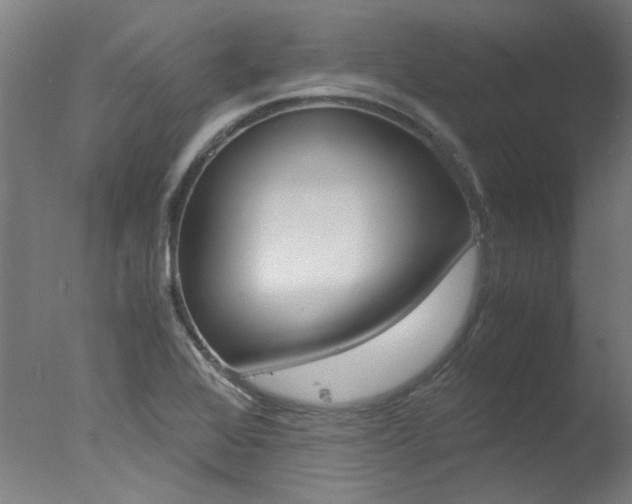 X0000078001368200610271002