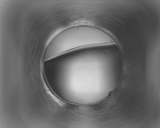 X0000078001383200610271001