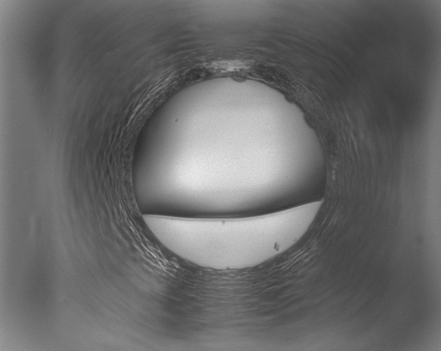 X0000078001393200610271000