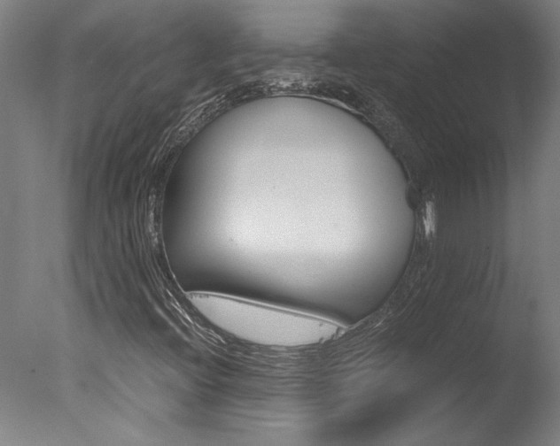 X0000078001396200610271000
