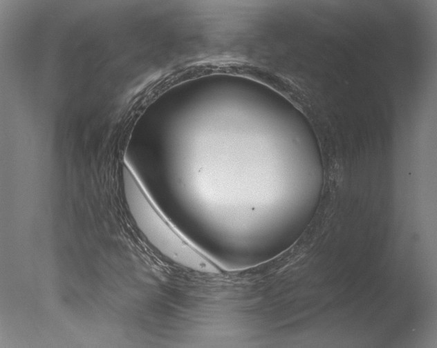 X0000078001398200610271000