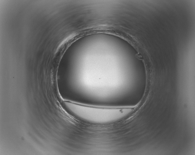 X0000078001402200610271000
