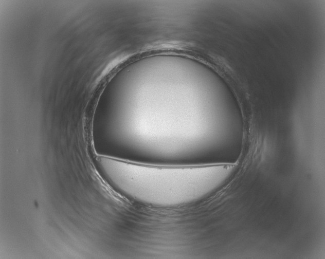 X0000078001404200610271001