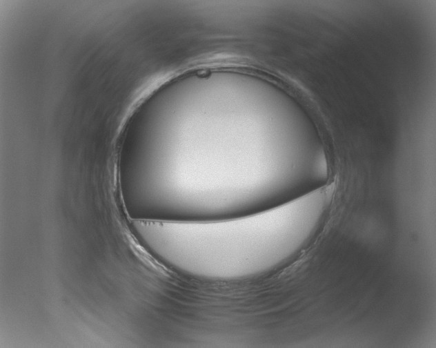 X0000078001413200610271001