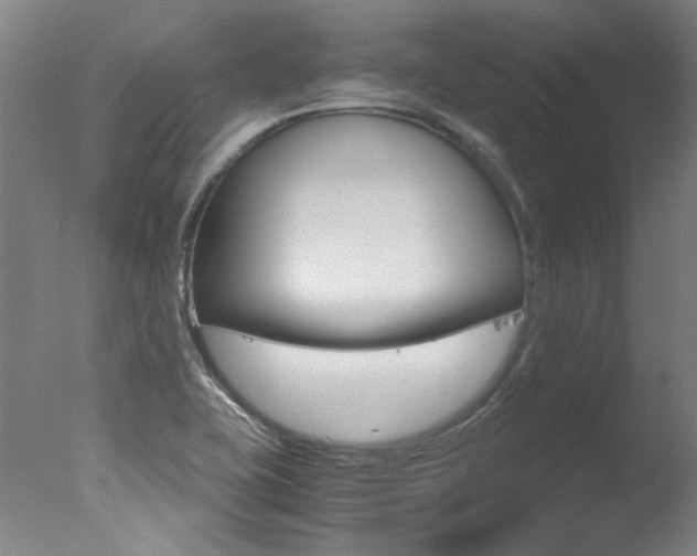 X0000078001415200610271001