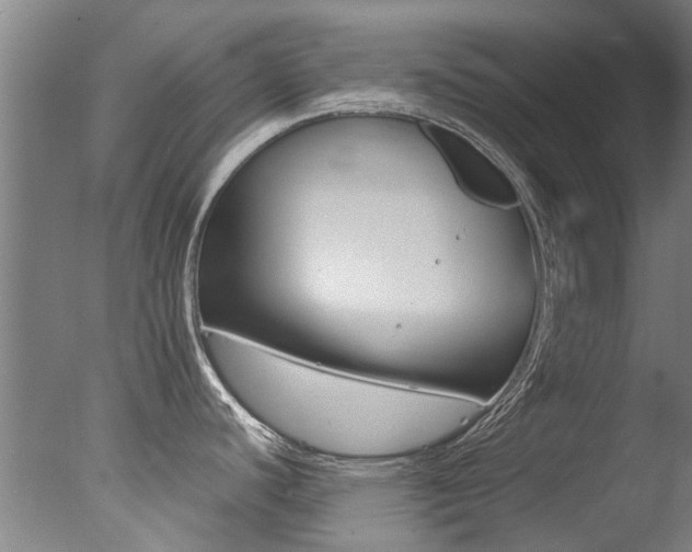 X0000078001440200610271001
