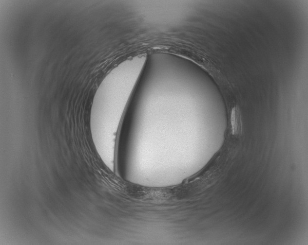 X0000078001443200610271000