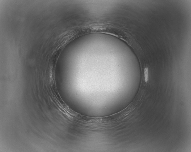 X0000078001444200610271000