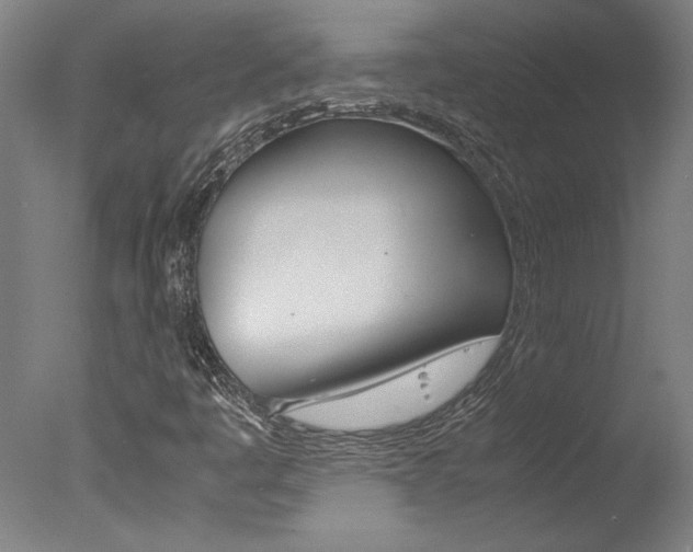 X0000078001445200610271000