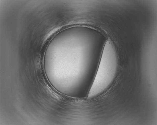 X0000078001452200610271000