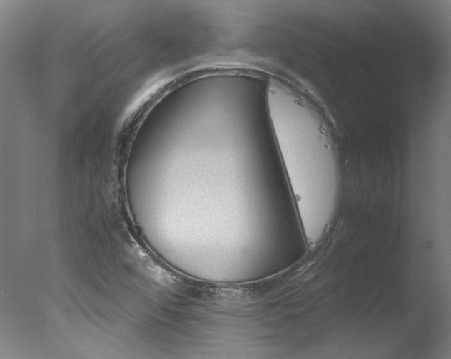 X0000078001456200610271000