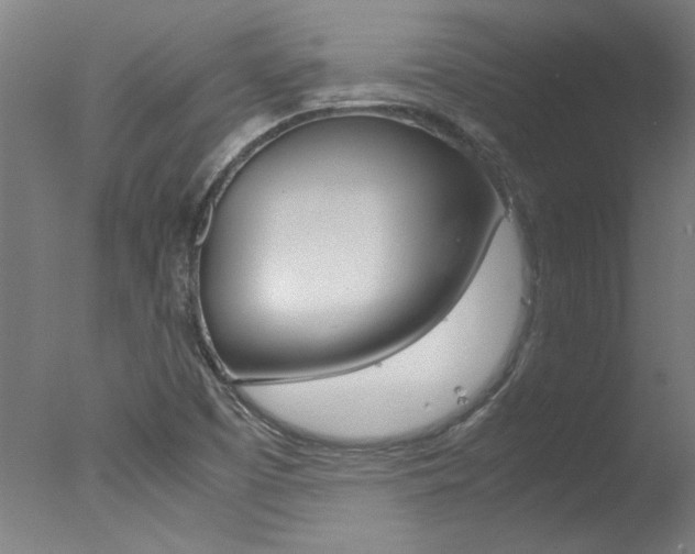 X0000078001457200610271000