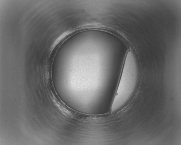 X0000078001458200610271000